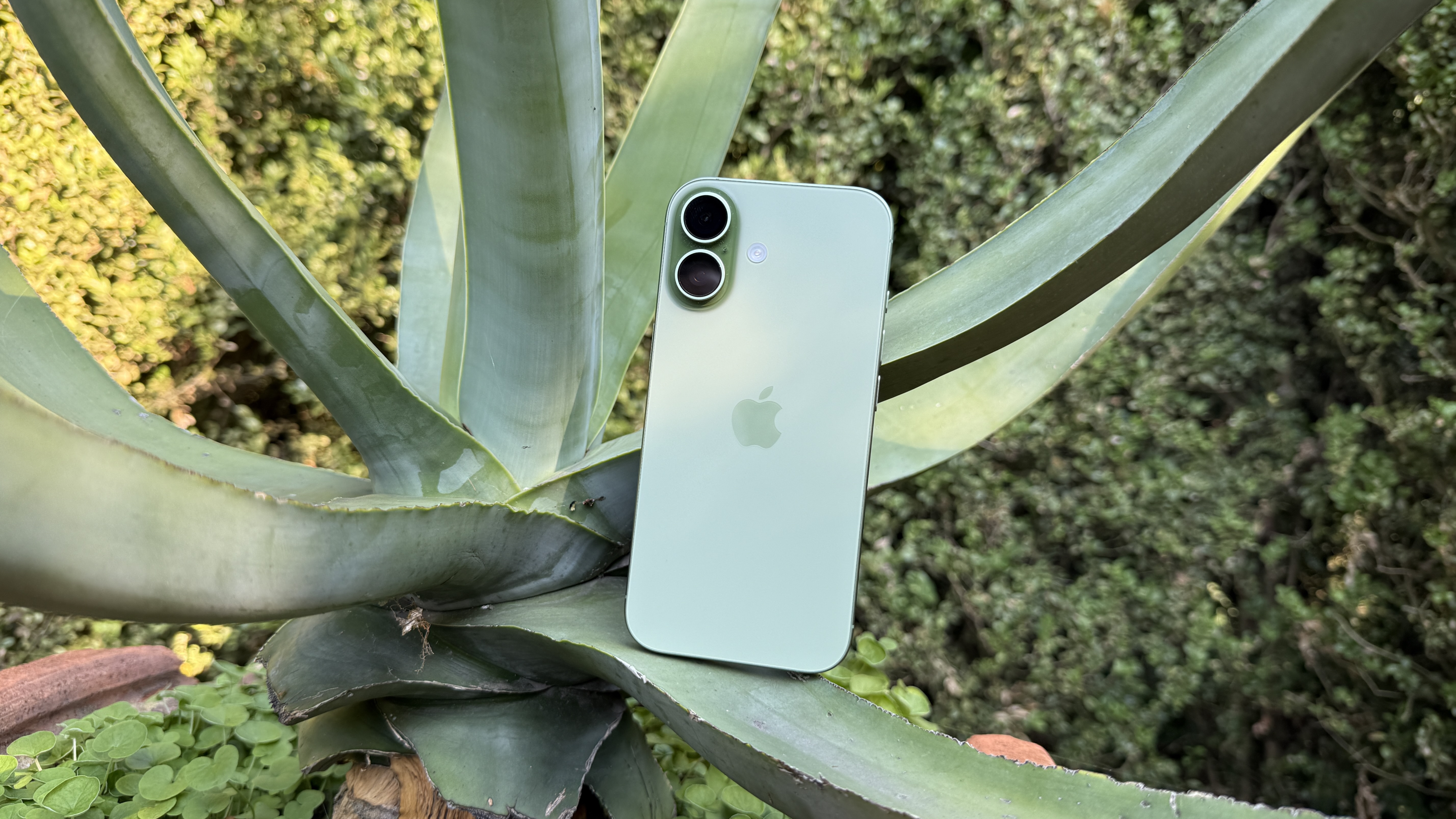 Apple iPhone 17 Review