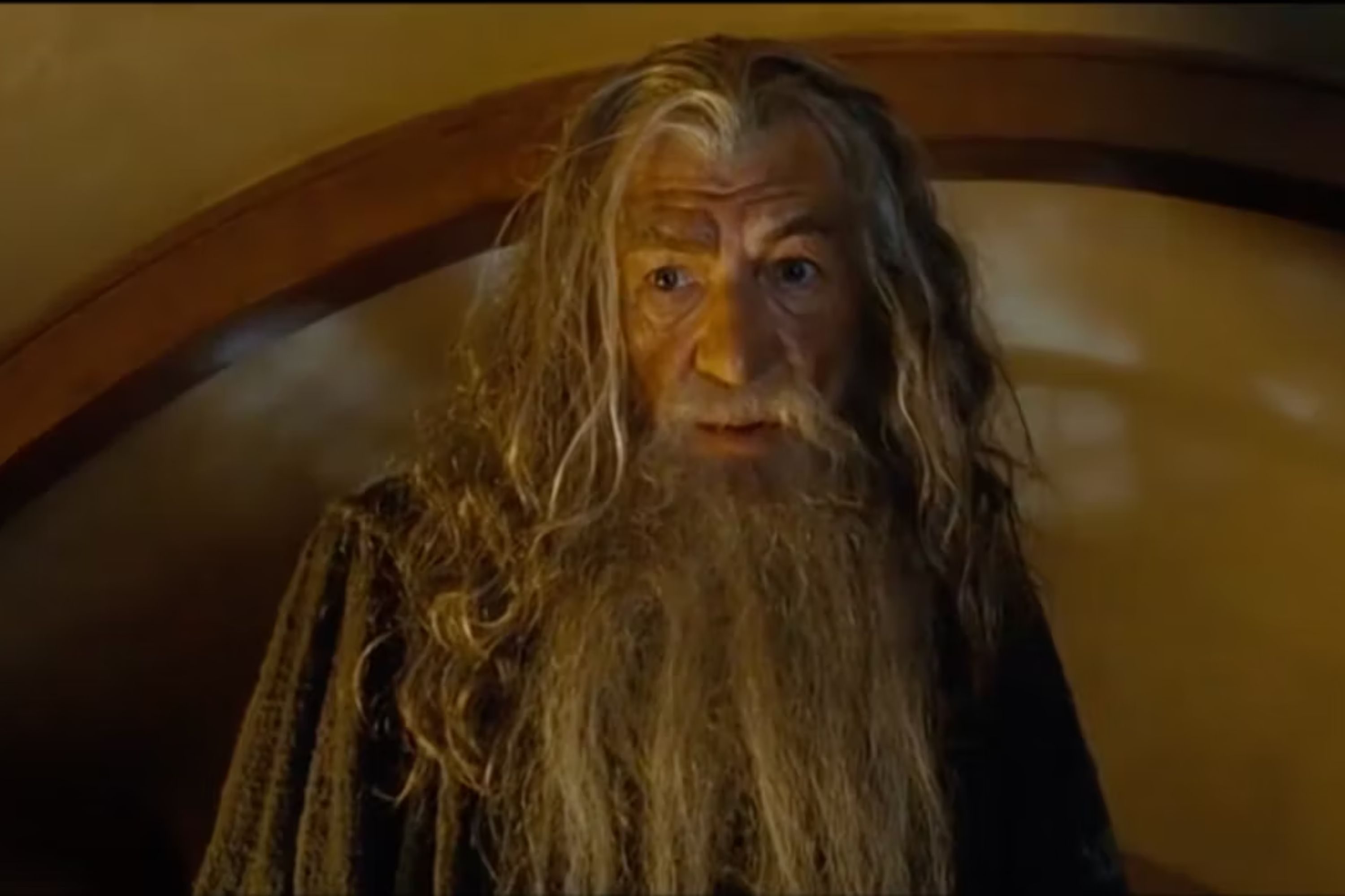 Gandalf the Grey in The Lord of the Rings The Fellowship of the Ring (2001)