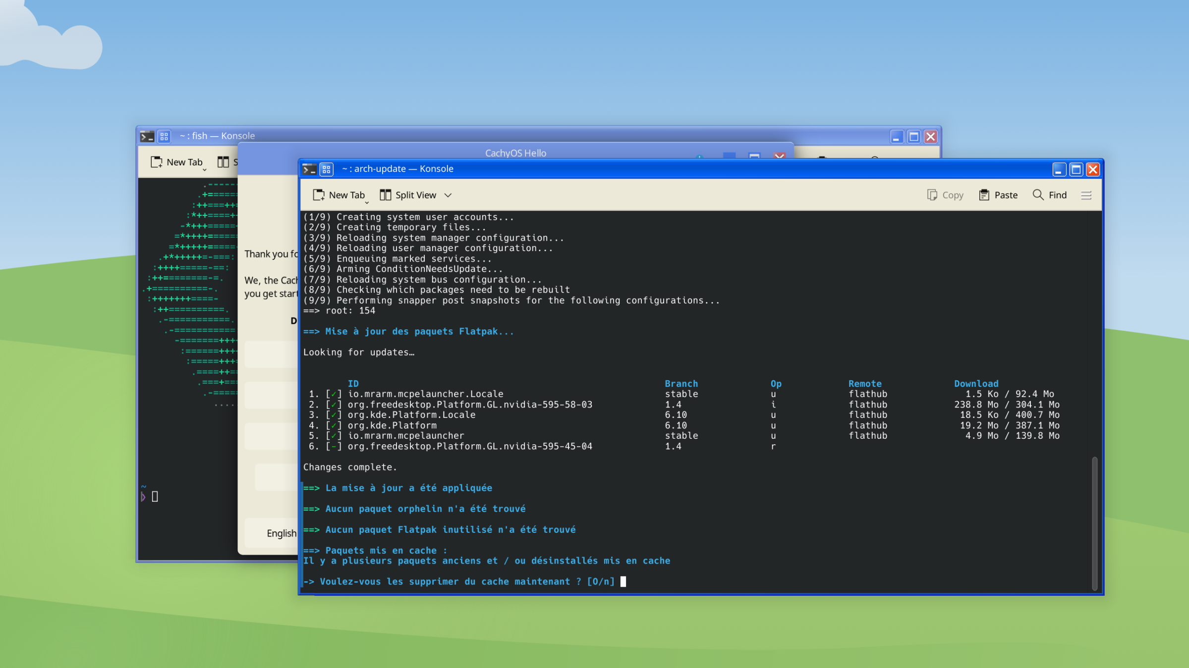 Why did this switch to French halfway through? Je ne sais pas.