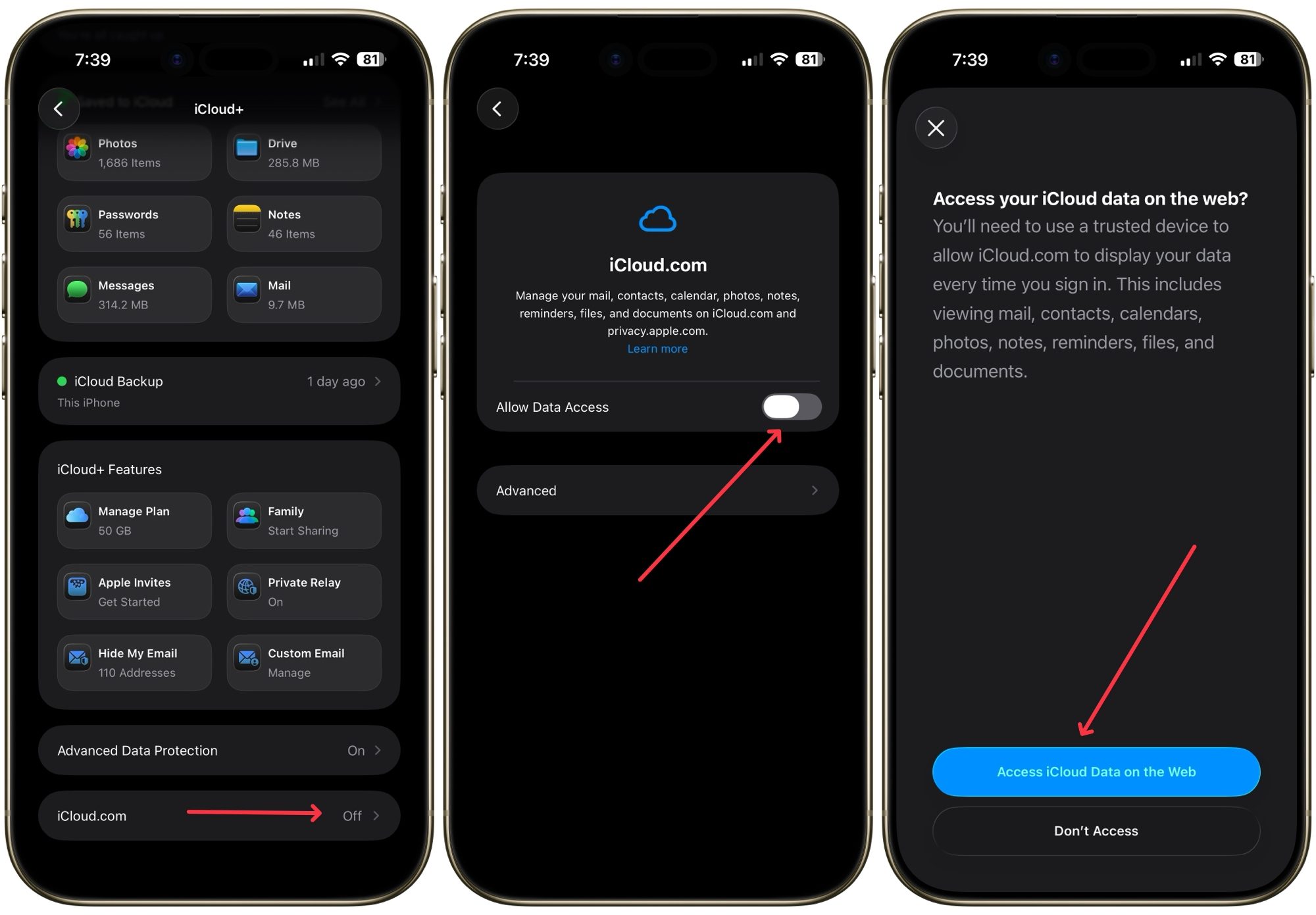 turning on iCloud data access on web