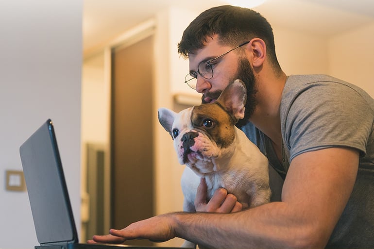 A man with a beard and glasses working on a laptop while holding a French Bulldog in a home office setting.