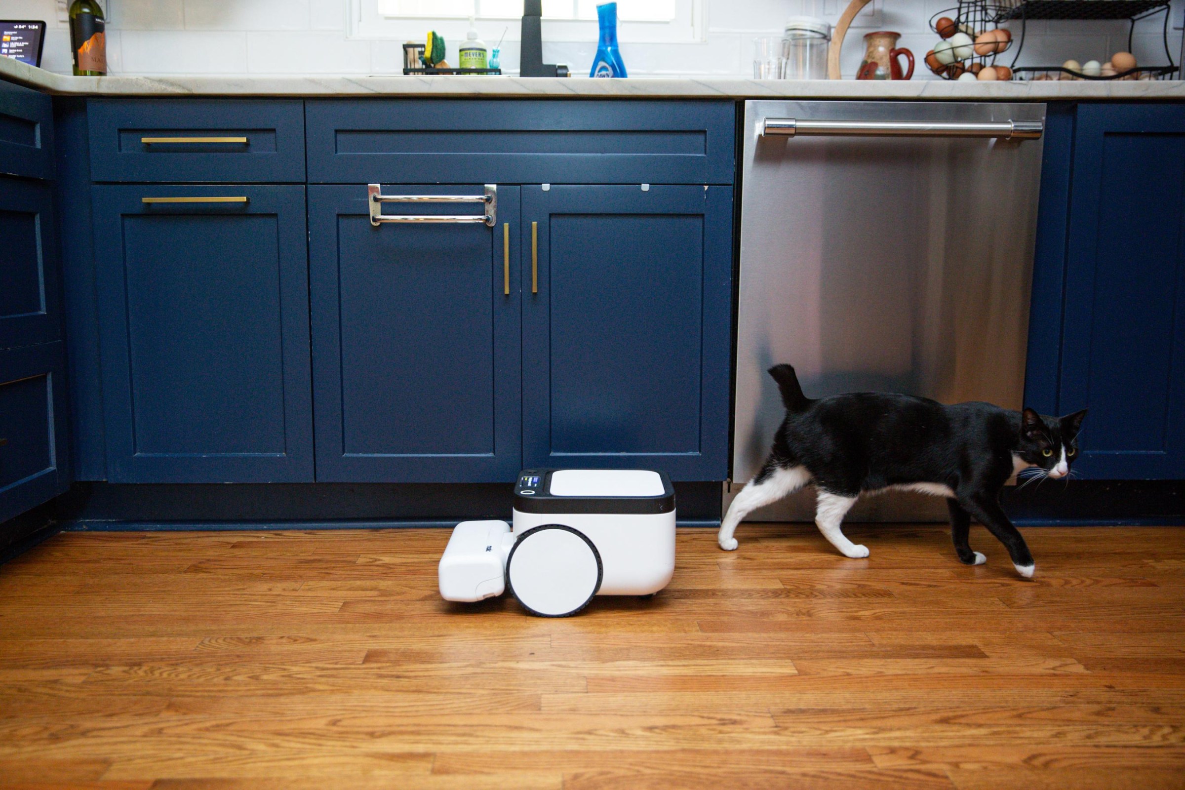 The Matic will park itself at the sink when it’s low on water.