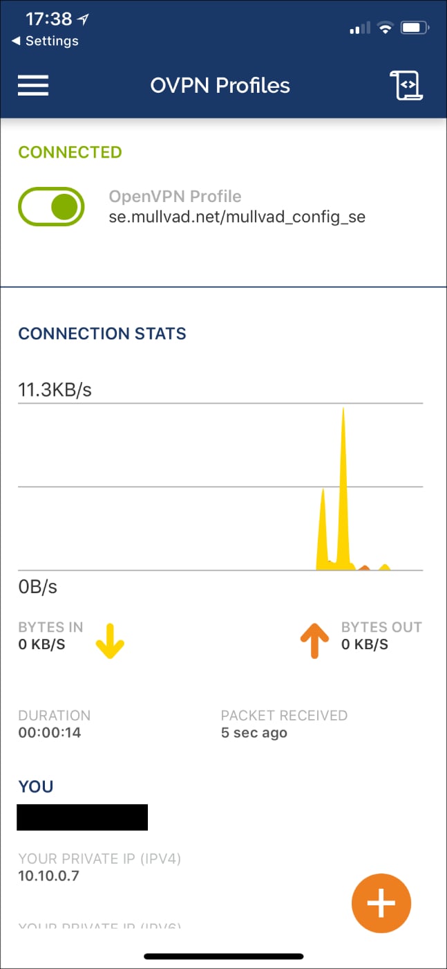 Mullvad VPN on iPhone.