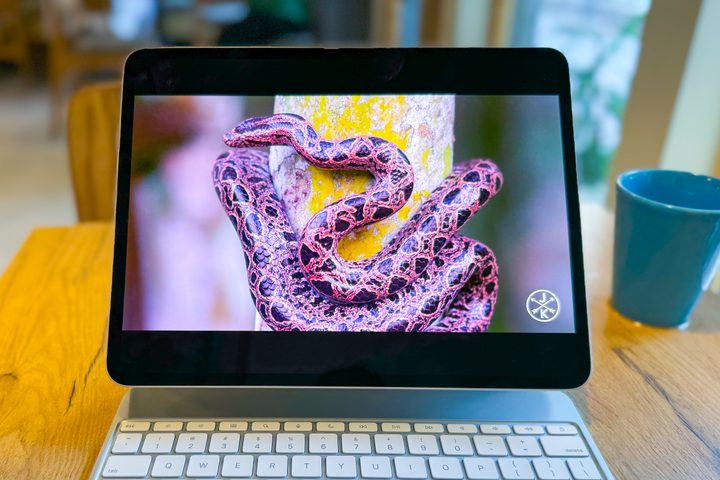 Video playing on iPad Pro