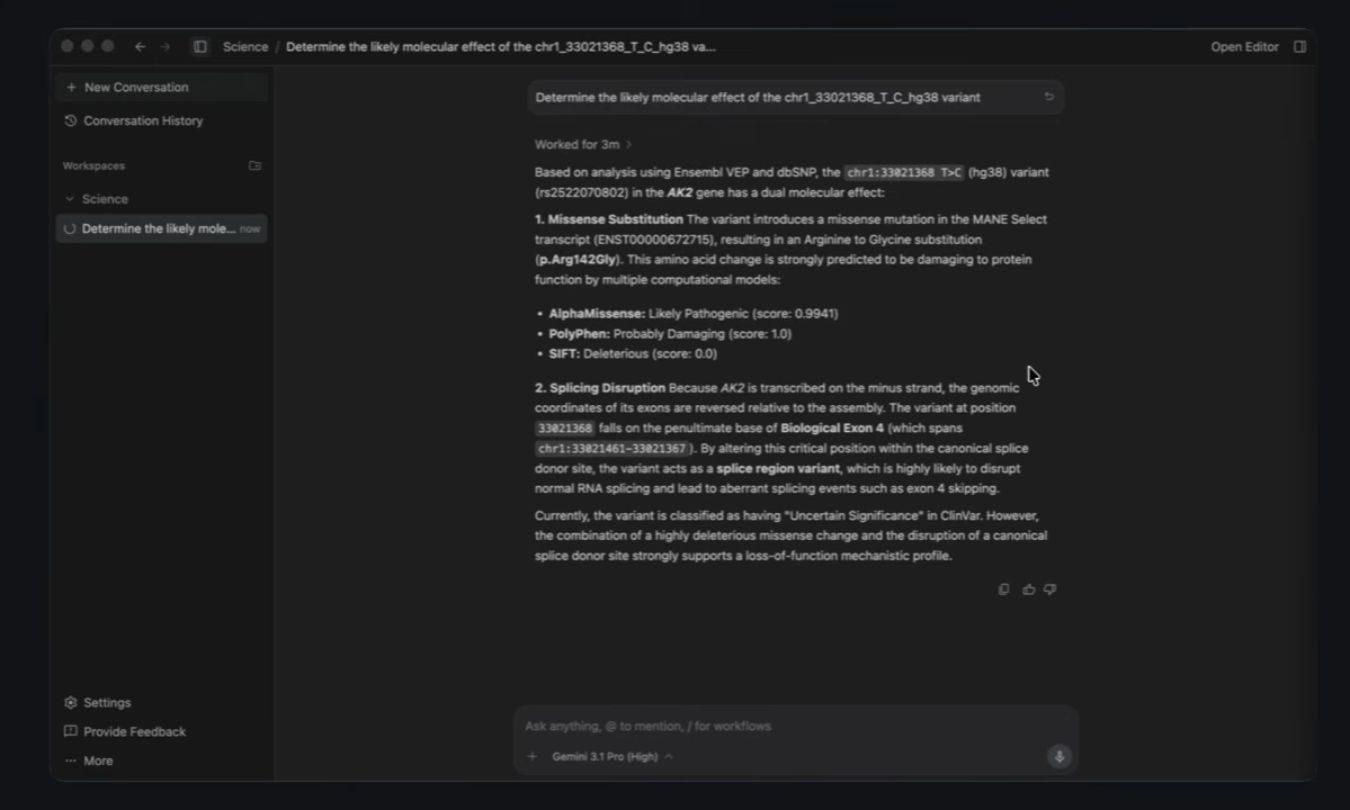 Page, Text, File