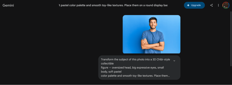 An image of the prompt in the chat.