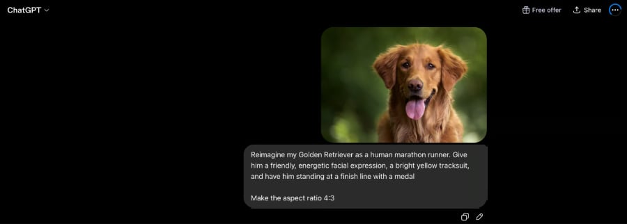 The pet-to-human transformation prompt.