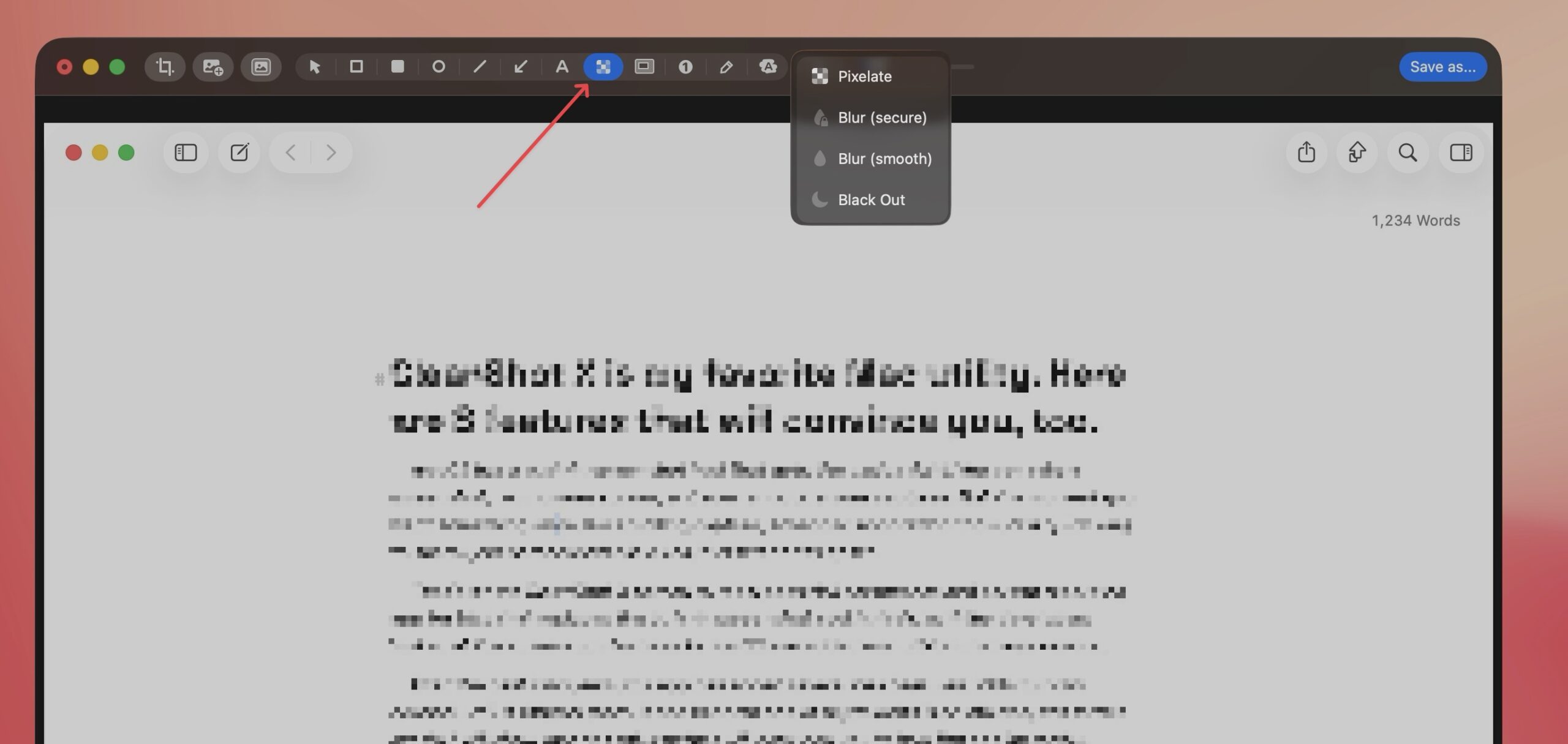 redact tool in CleanShot X