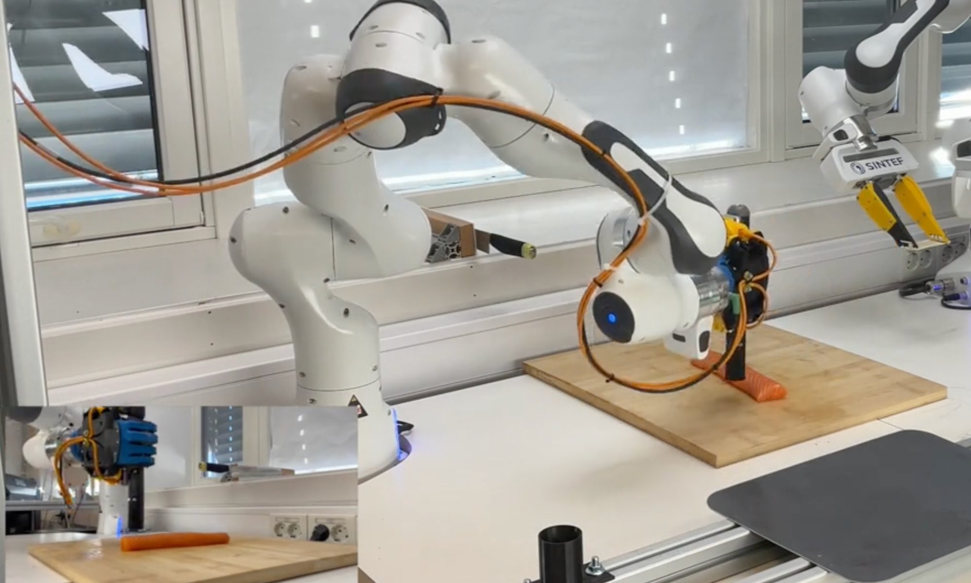 Robot, Laboratory