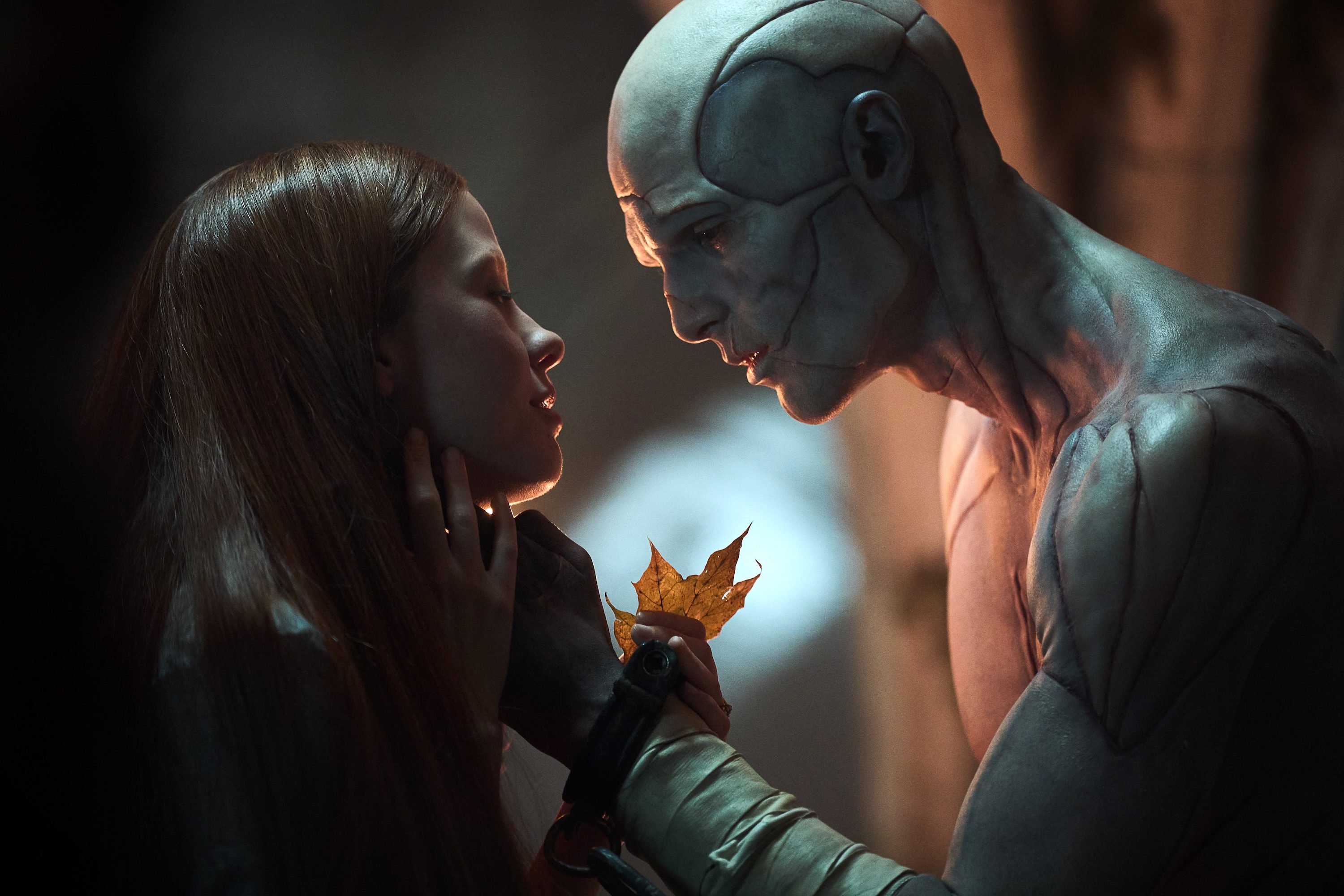 A creature touches a leaf and a woman in Frankenstein.