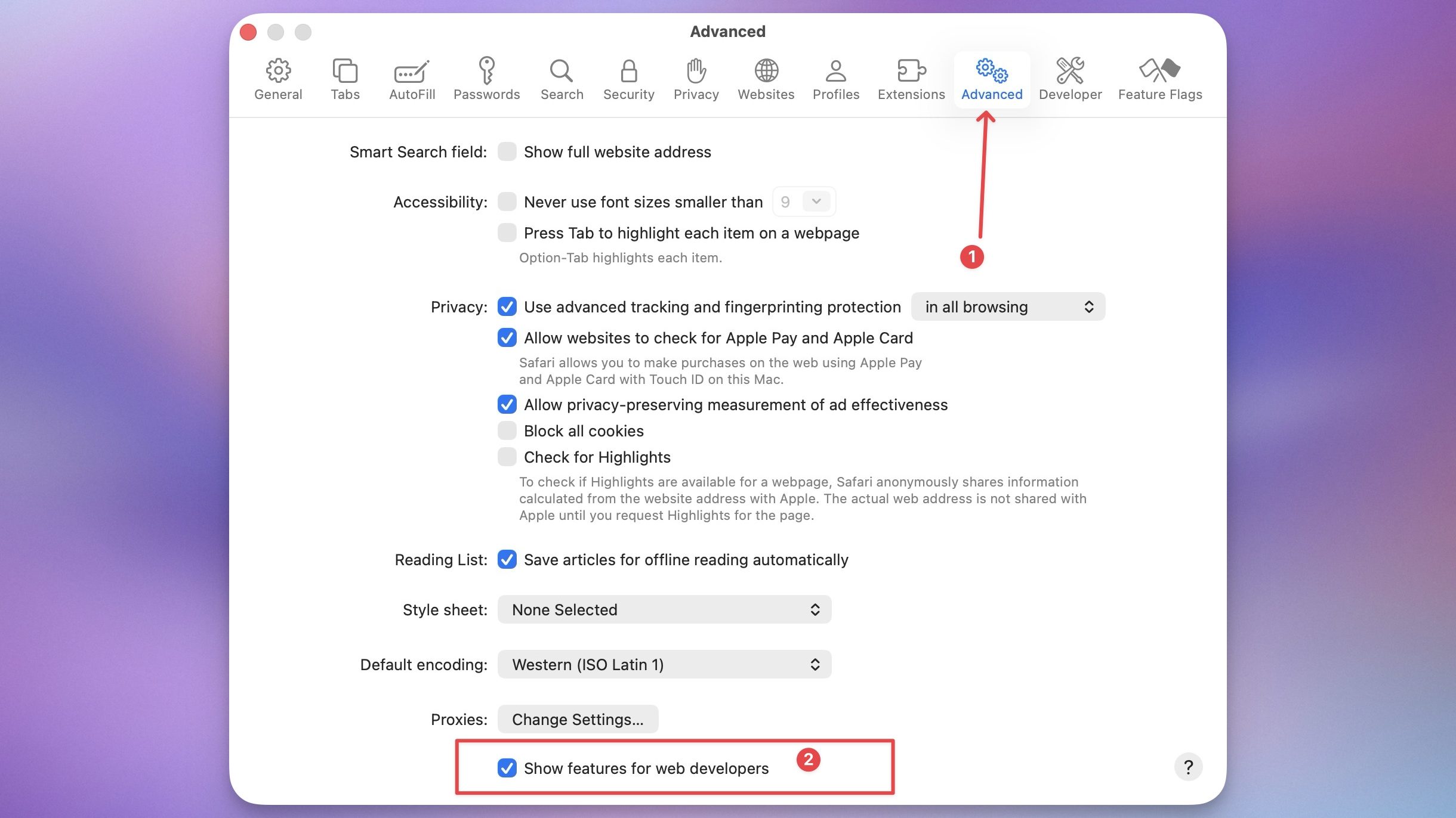 safari advanced settings