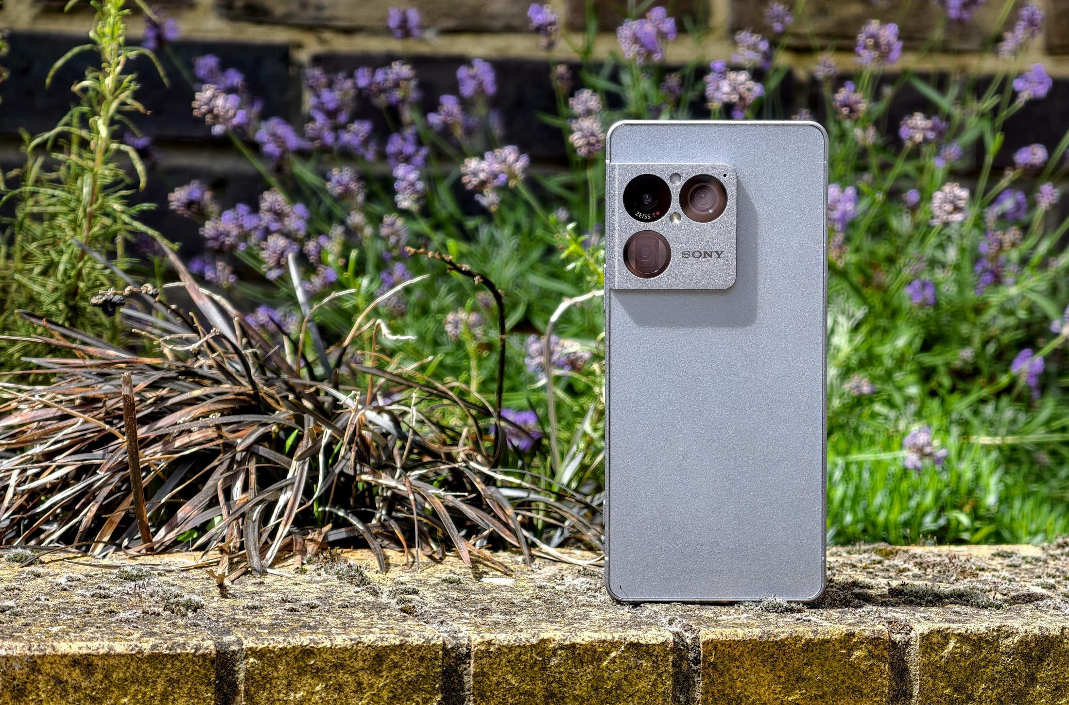 Photo of the Sony Xperia 1 VIII sitting on a brick ledge in front of flowers, showing the rear