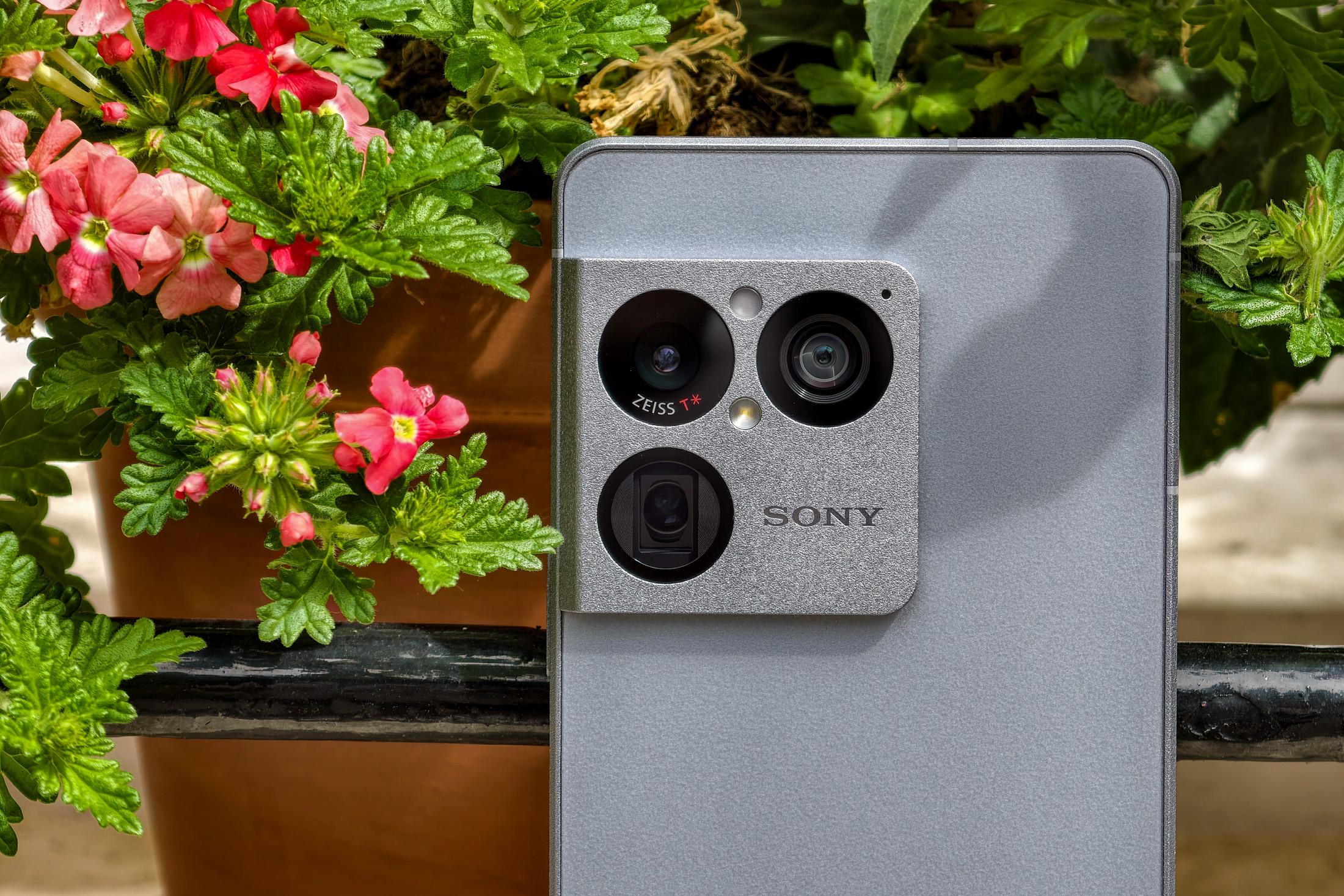 Photo of the Sony Xperia 1 VIII sitting on a windowsill in front of flowers, showing the rear camera