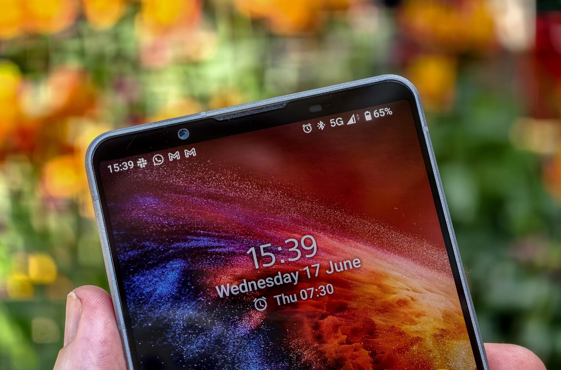 Photo of the Sony Xperia 1 VIII in front of flowers, showing the top bezel and selfie camera