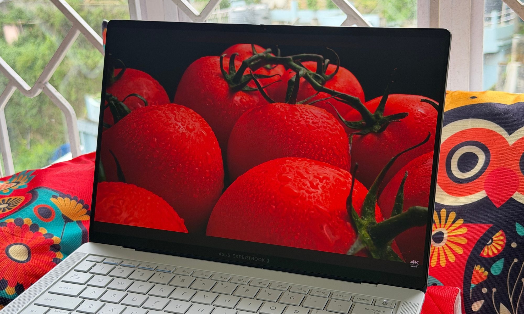 Asus ExpertBook Ultra laptop