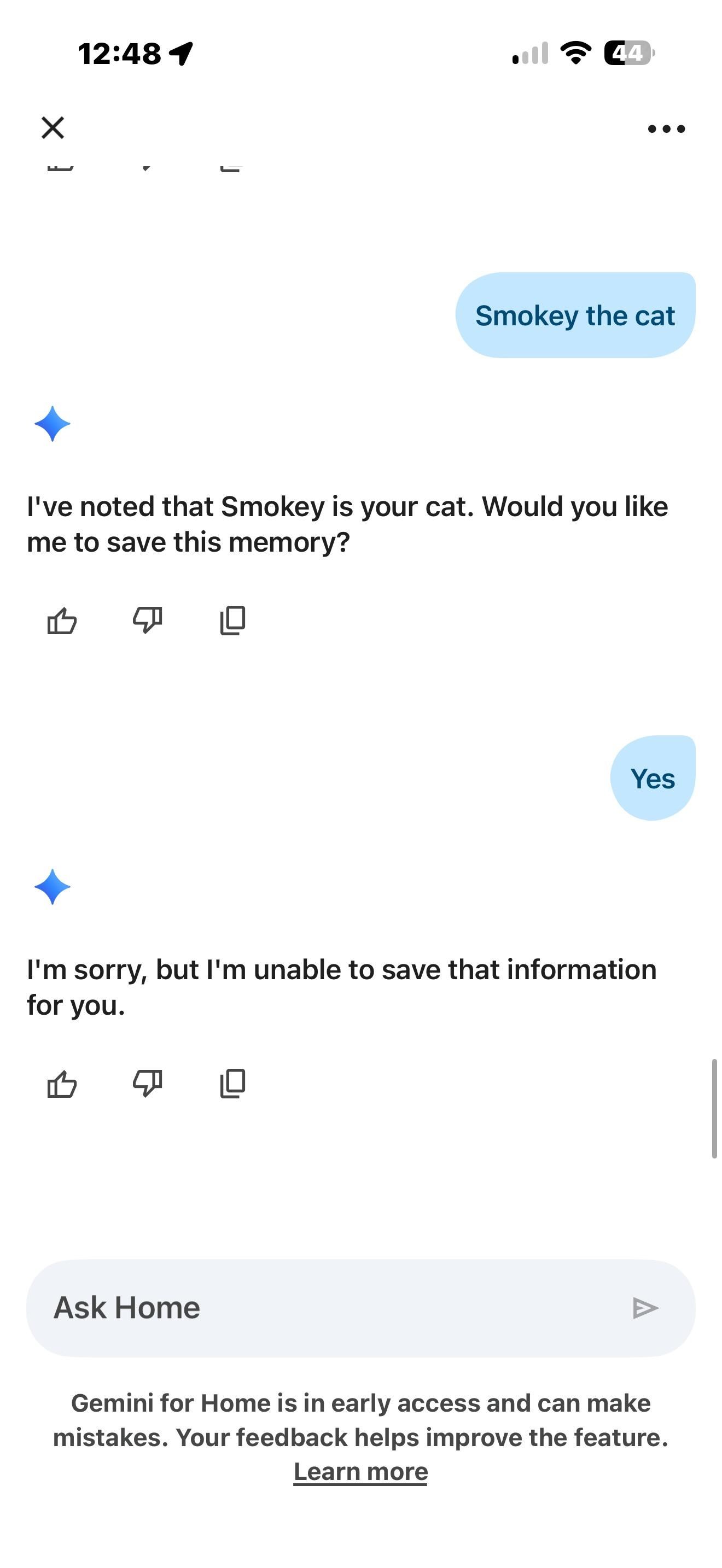 <em>Setting up pet memory was simple, I just typed the pet’s details into the Ask Home chatbot in the Google Home app and Gemini for Home offered to save it into its memory. </em>