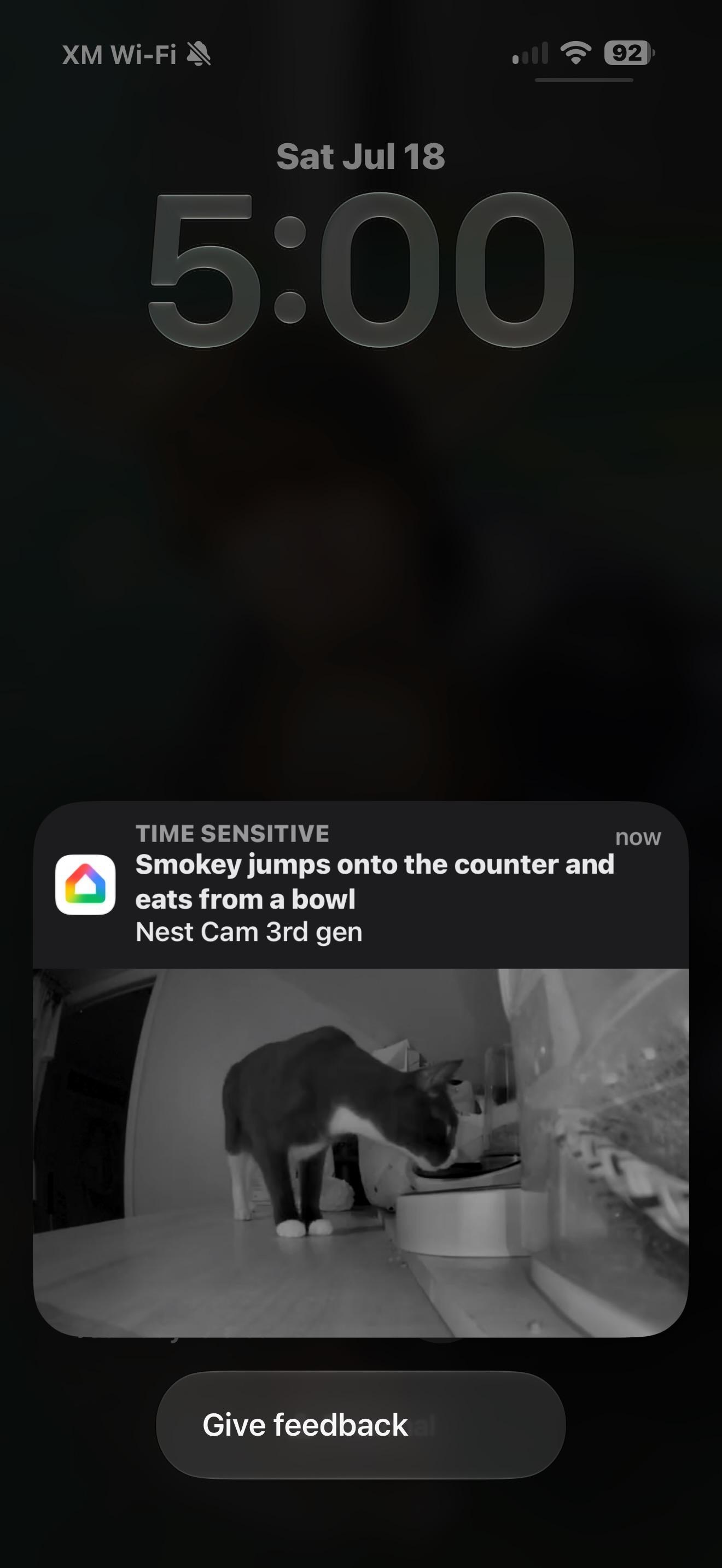 This is not Smokey, but it’s a good example of the more detailed descriptions Gemini for Home provides.