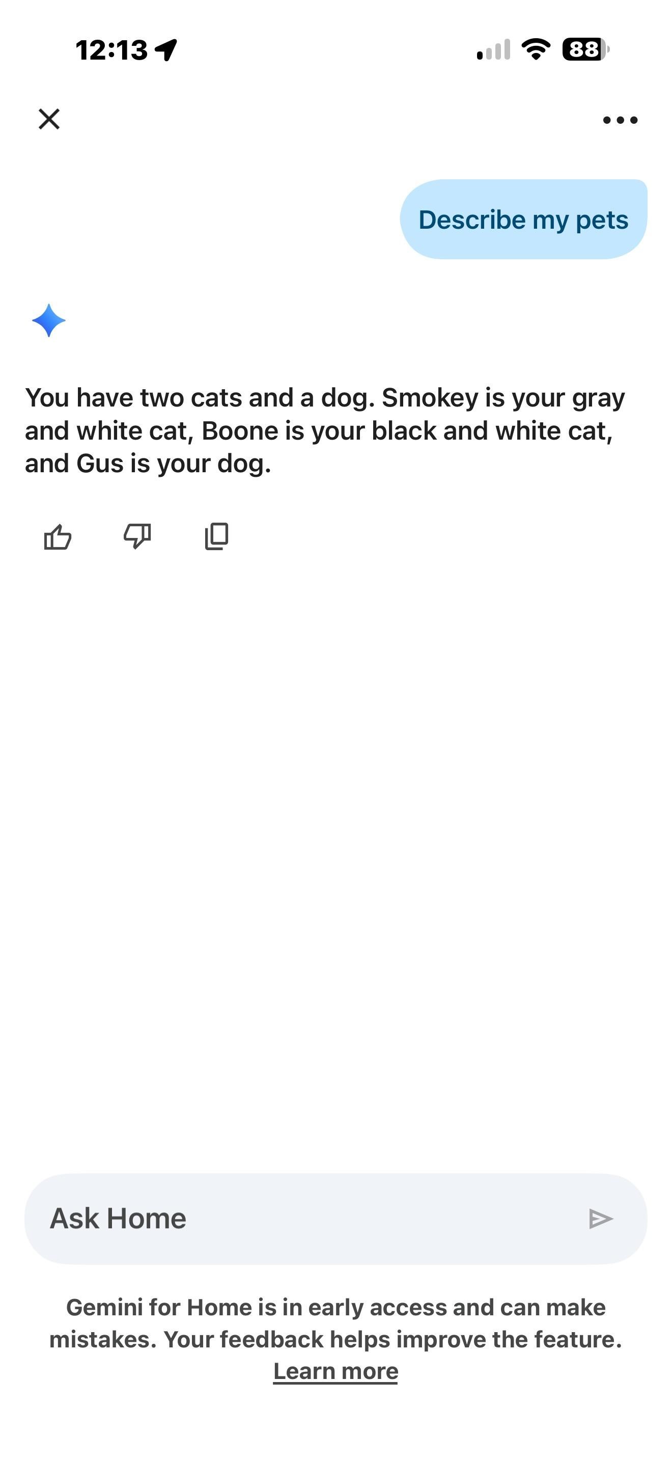 <em>It took a few tries to get it to remember all the pets.</em>