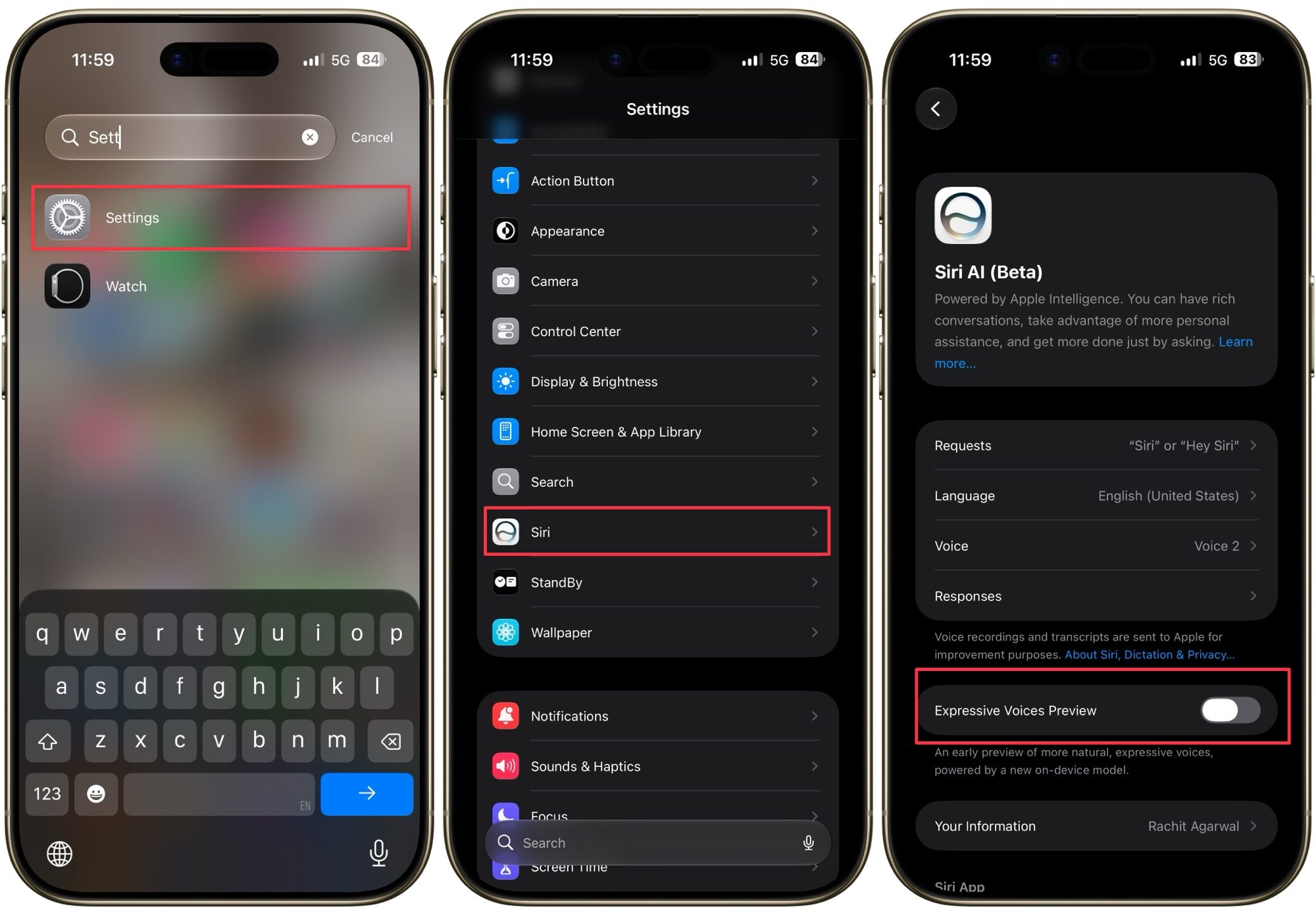 Siri Voice setting